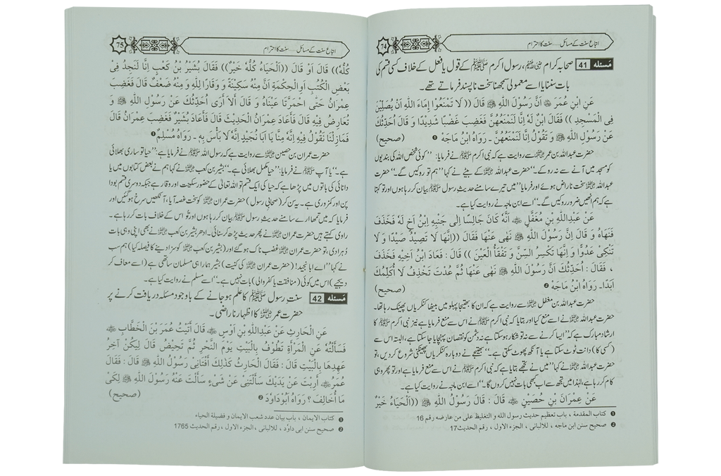 Itybah-e-Sunnat Kay Masail