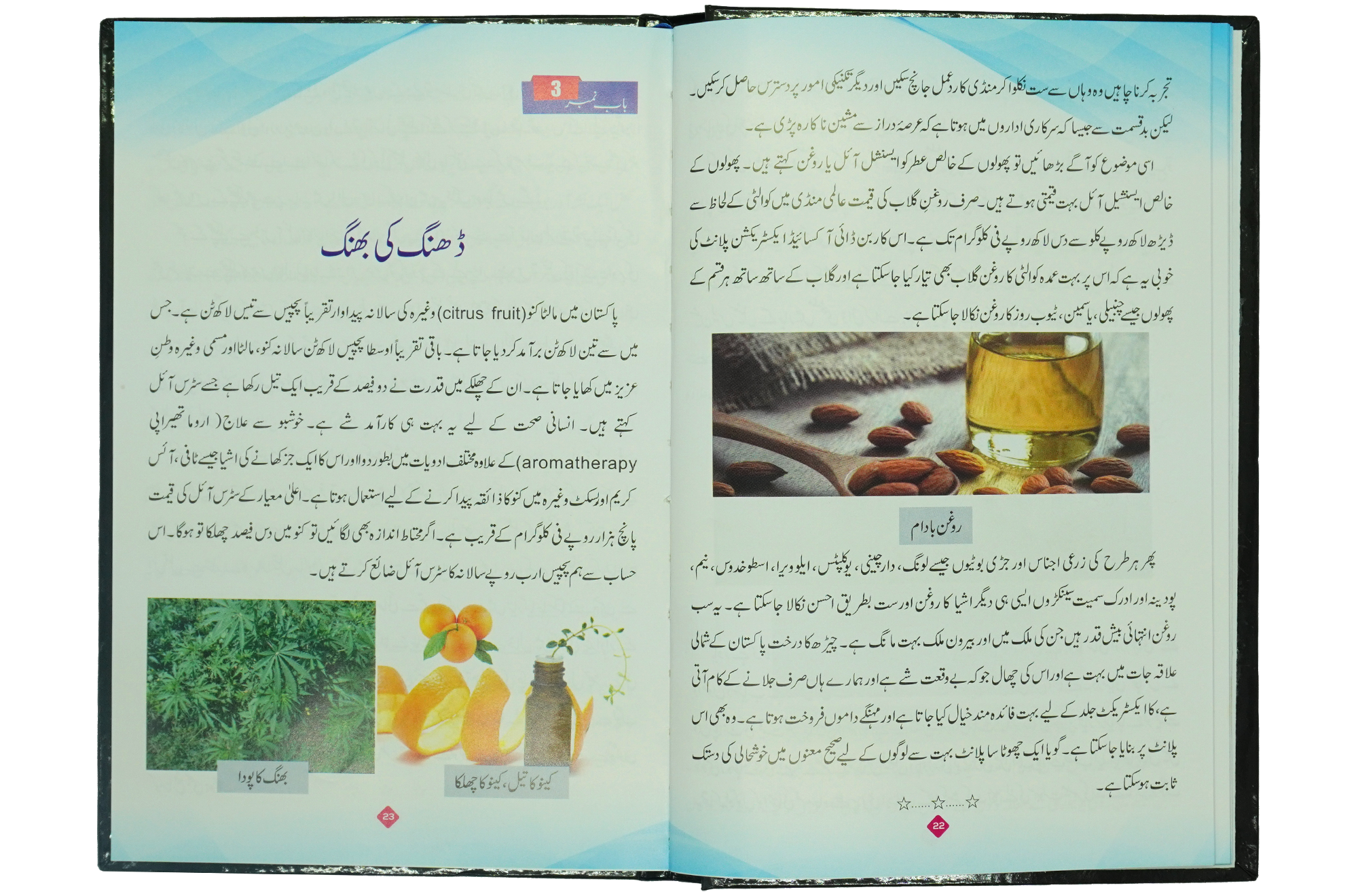 Khushhali ki Dastak- Soft Cover