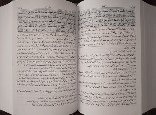 Tafseer Ahsan-ul-Bayyan - 14X21 (local)