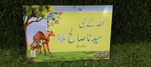 Qisa Hazrat Saleh (Local)