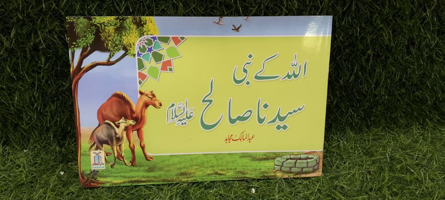 Qisa Hazrat Saleh