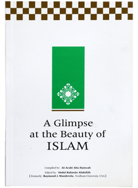 A Glimpse at the Beauty of Islam