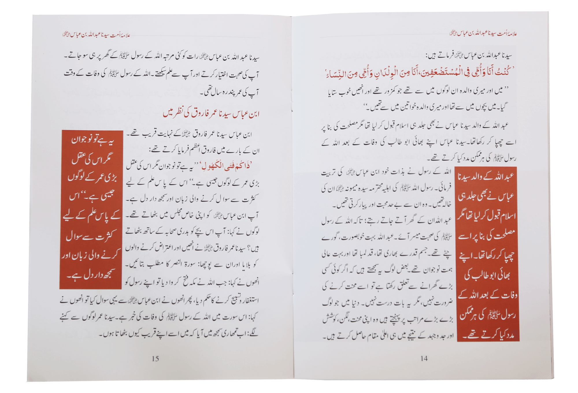 Allama Umaat Sayedina Abdullah Bin Abbas