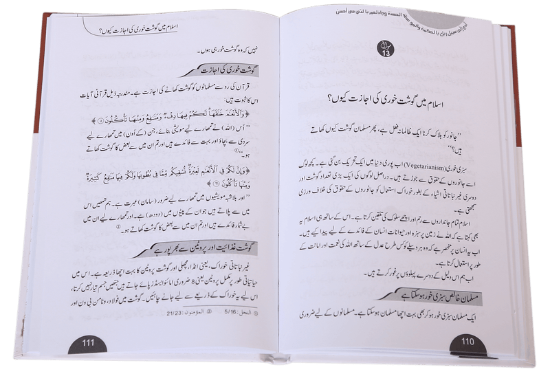 Islam pr 40 Aitrazaat k Mudalal Jawab