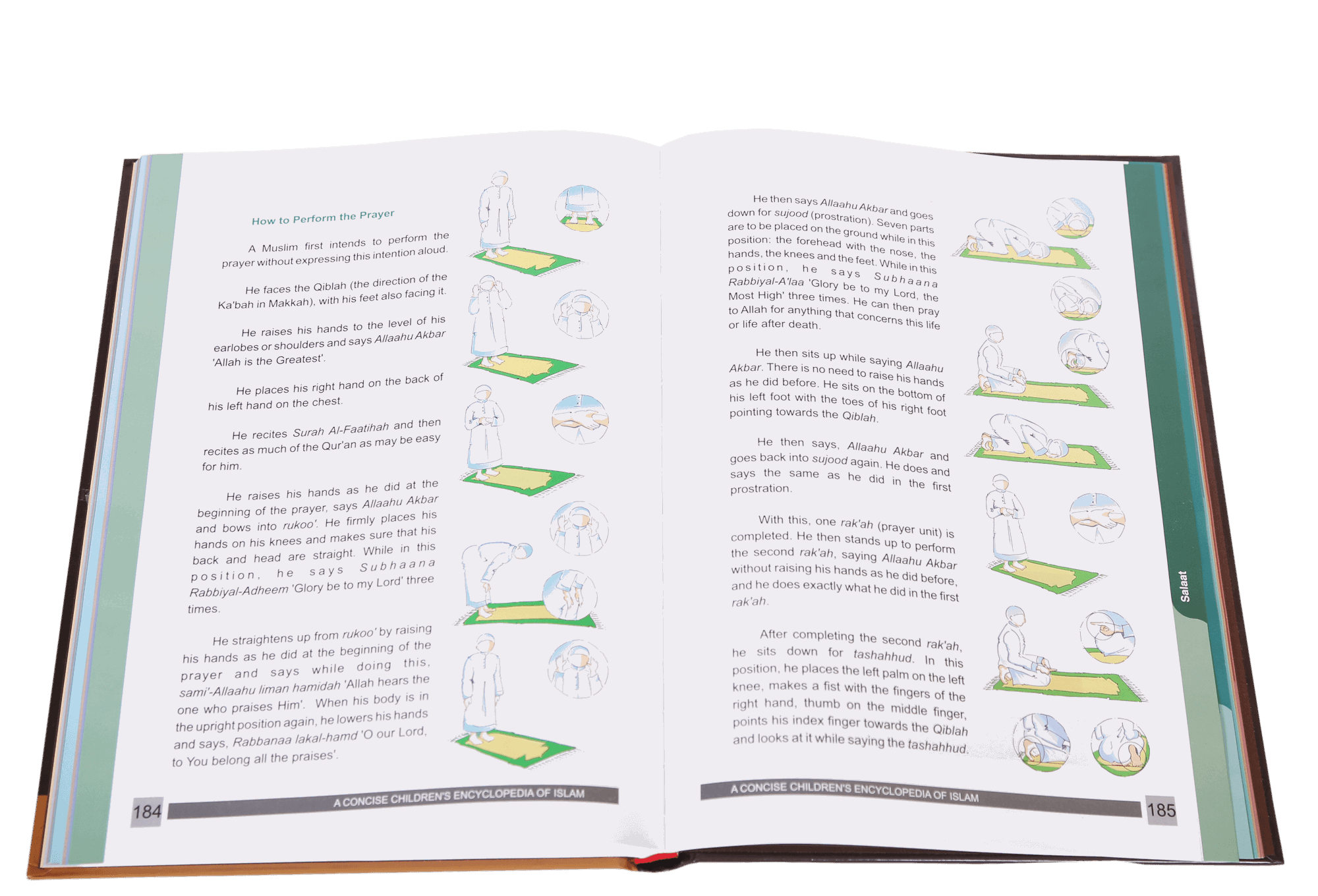 A Concise Children`s Encyclopedia of Islam