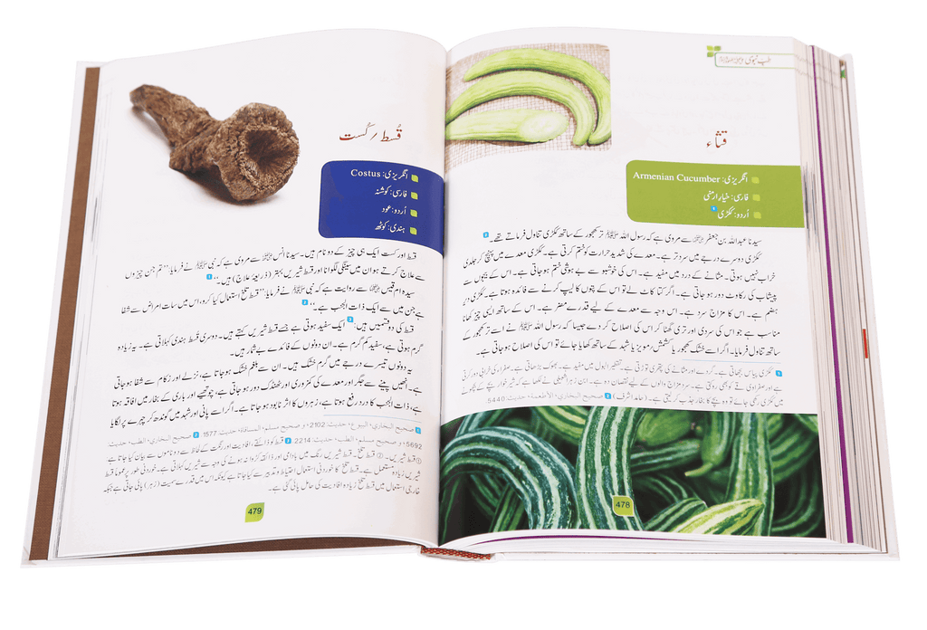 Tib-e-Nabvi (Latest) - Ibn al Qayyim