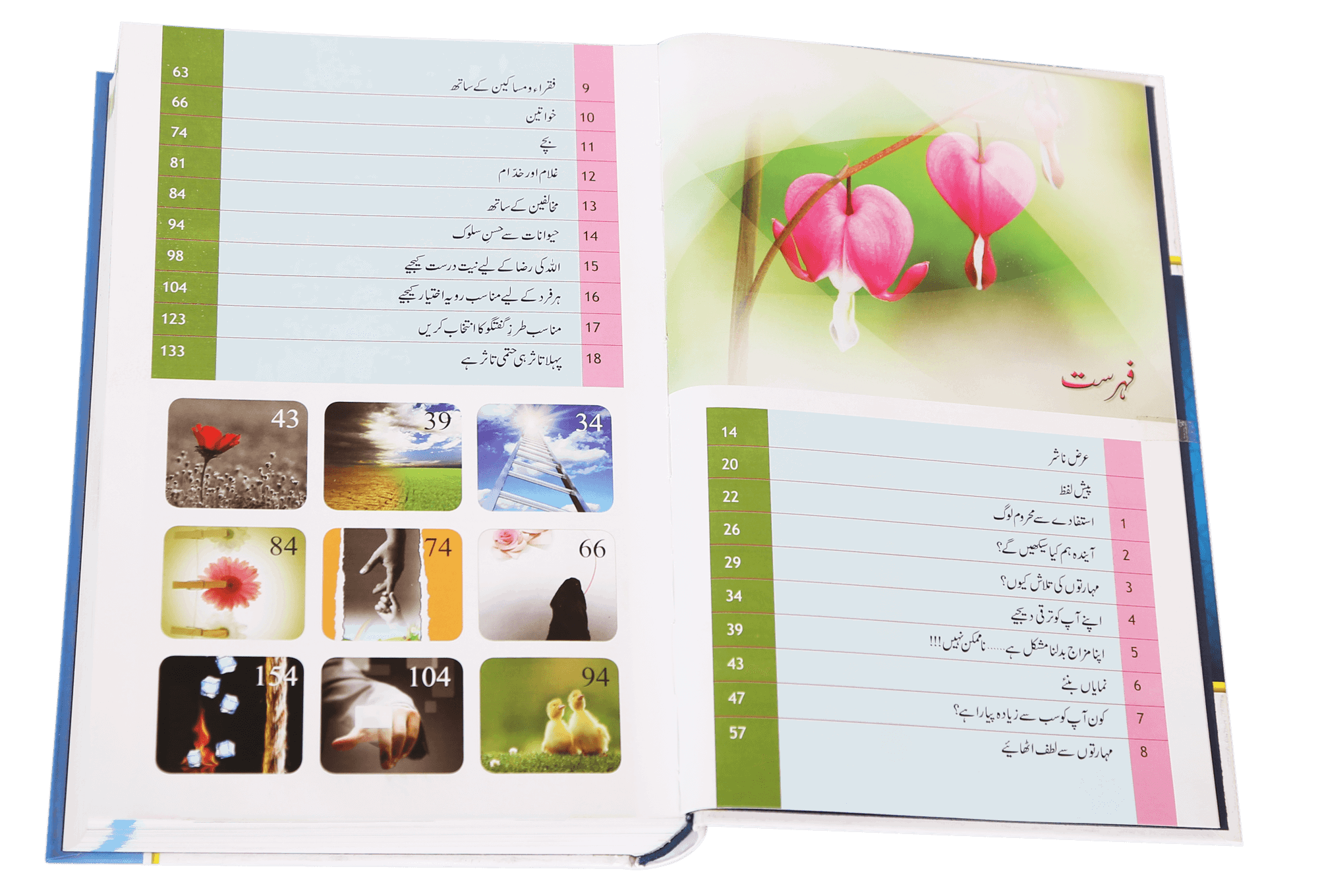 Zindagi Se Lutf Uthaye (Hard Cover) Imported