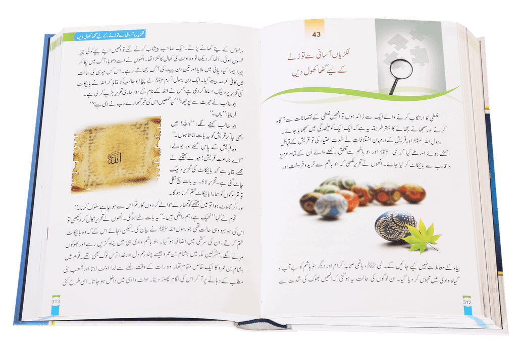 Zindagi Se Lutf Uthaye (Hard Cover) Imported