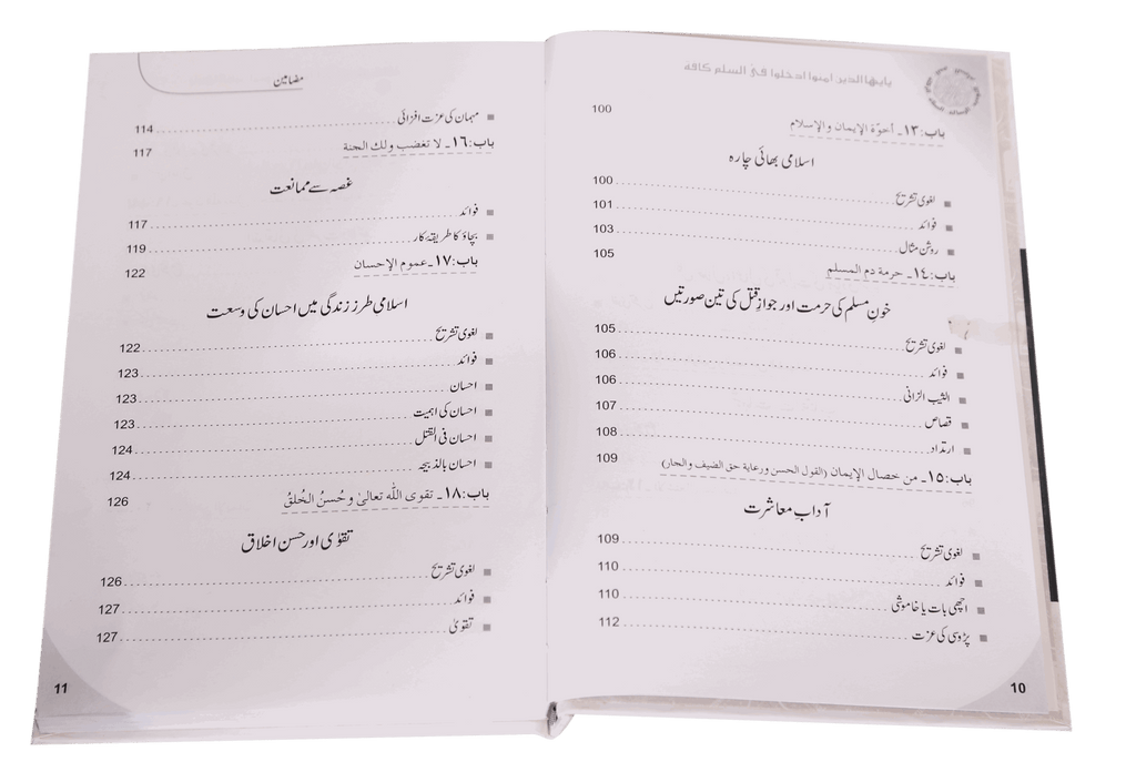 Islam Ke Ahkam-o-Aadab (New Edition)