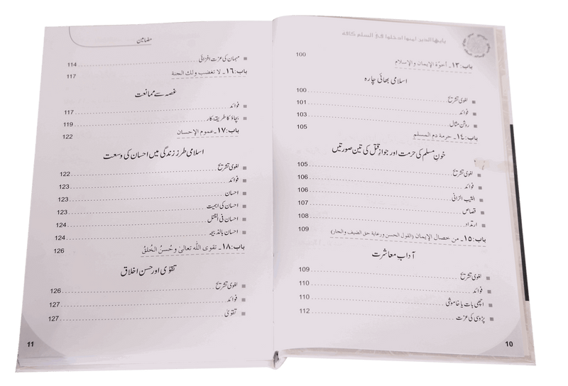 Islam Ke Ahkam-o-Aadab (New Edition)