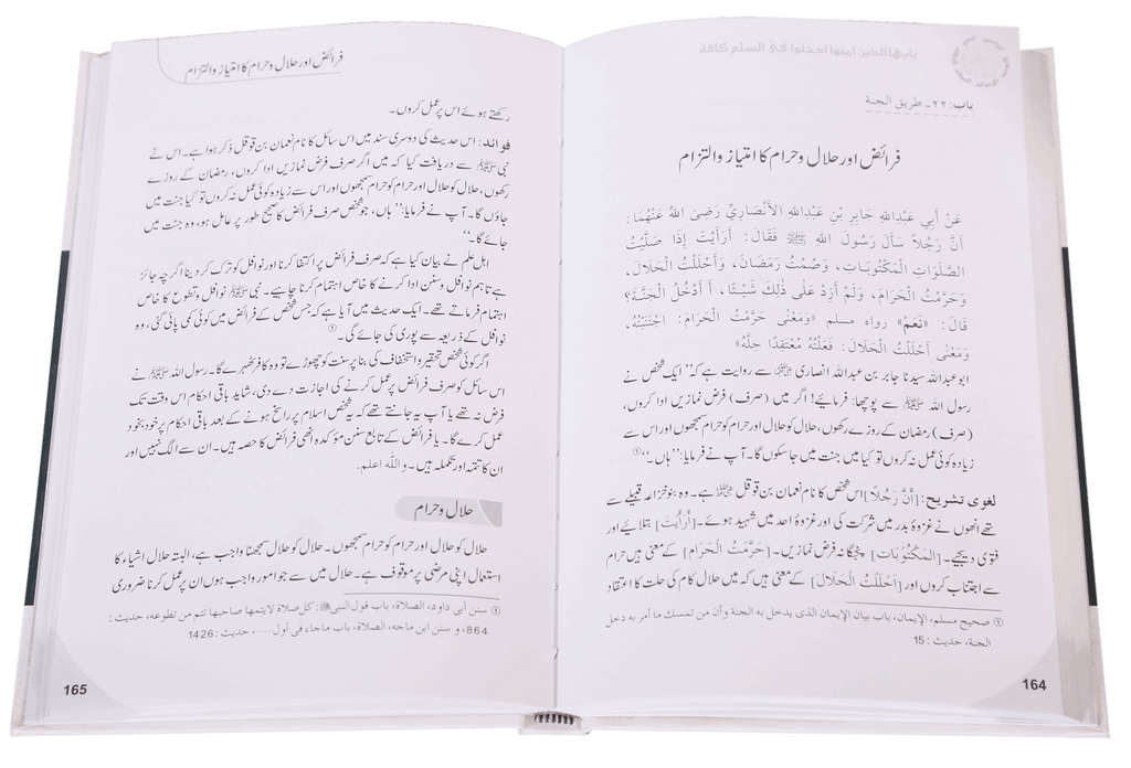 Islam Ke Ahkam-o-Aadab (New Edition)