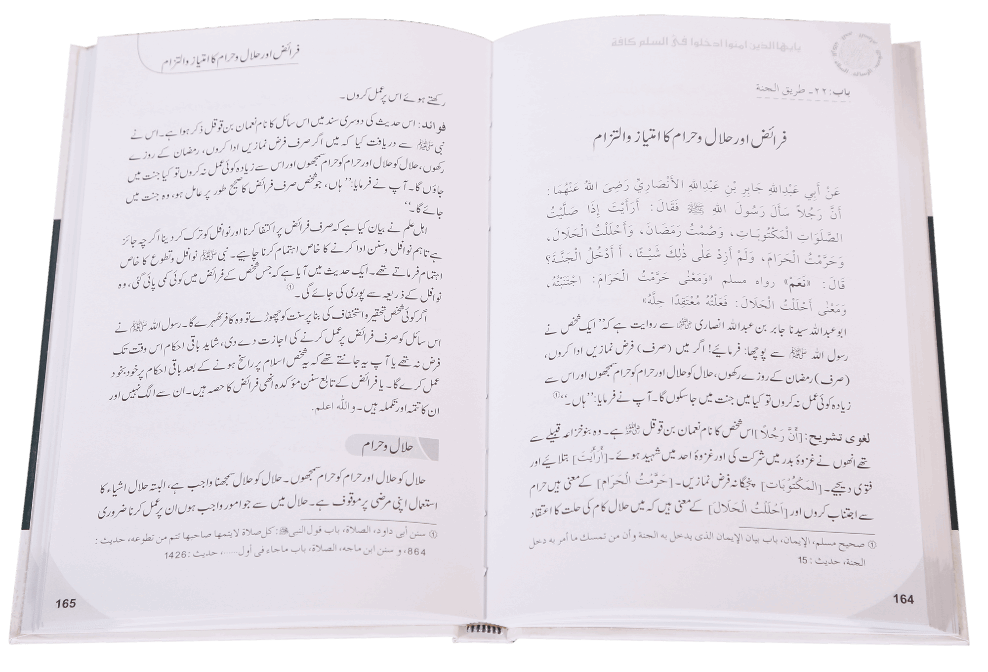 Islam Ke Ahkam-o-Aadab (New Edition)