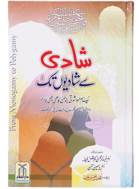 Shadi se Shadiyon Tak