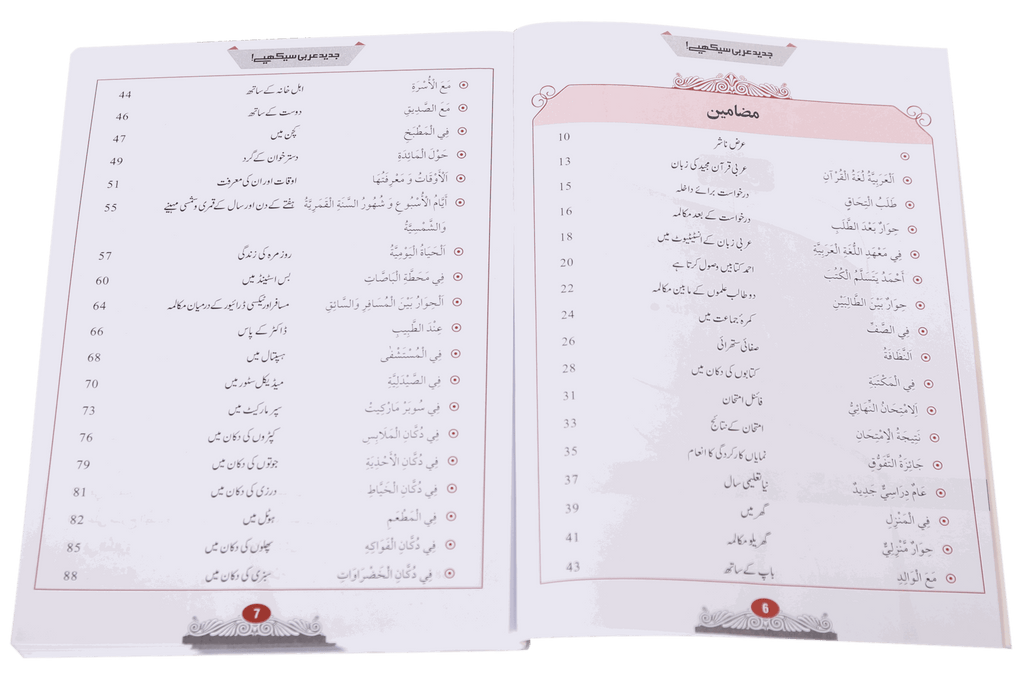 Jadeed Arbi Seekhein