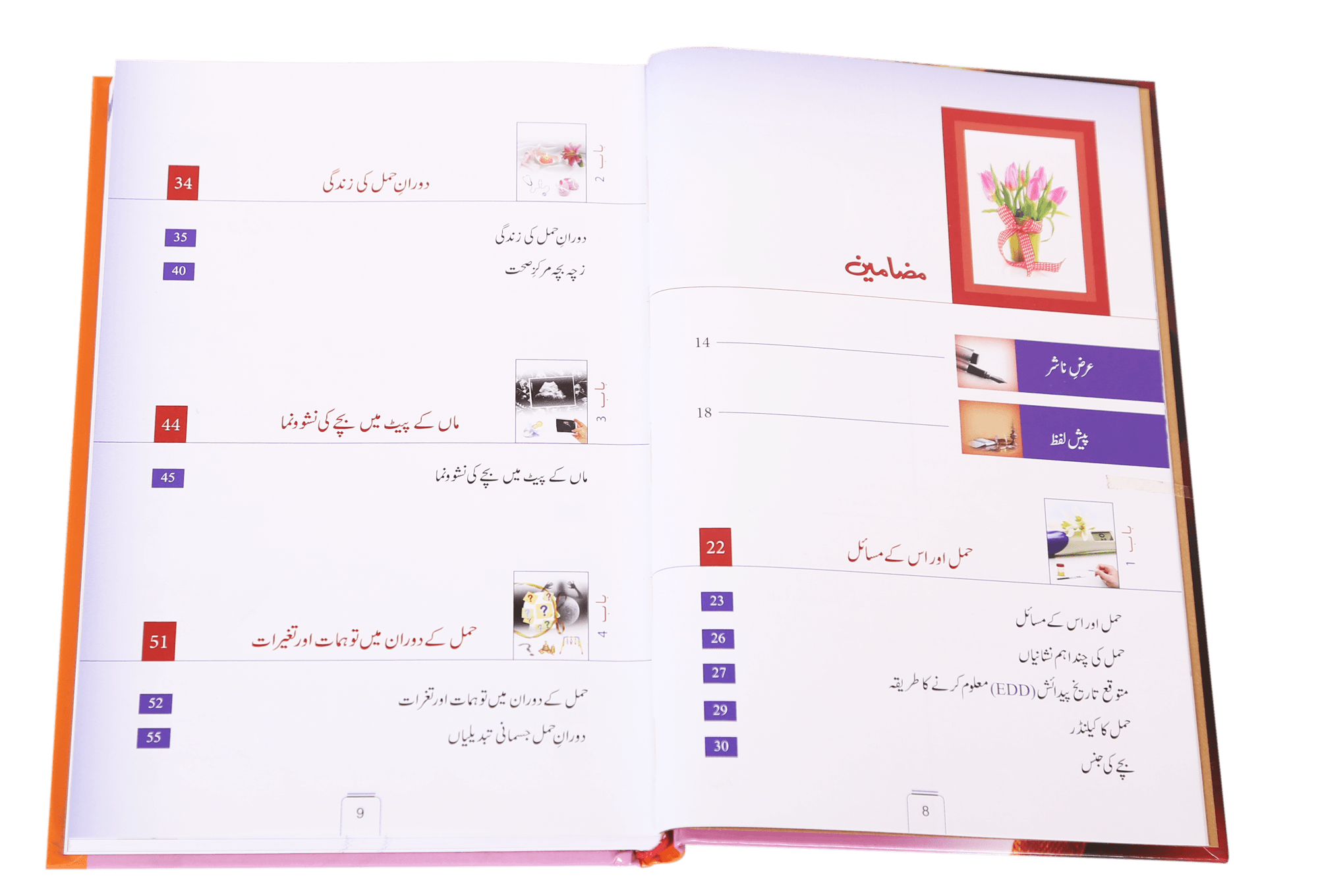 Agar Aap Maa Banny Wali Hain / اگر آپ ماں بننے والی ہیں