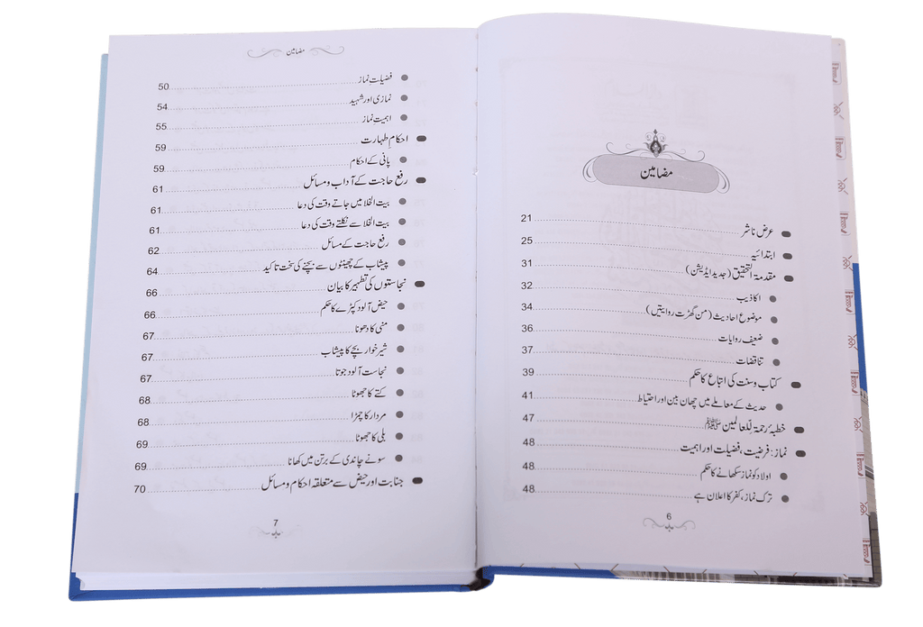 Namaz-e-Nabvi S/C  -  (12x17)