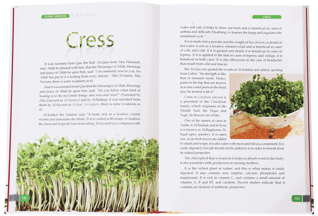 Islamic Medicine - The Key to a Better Life