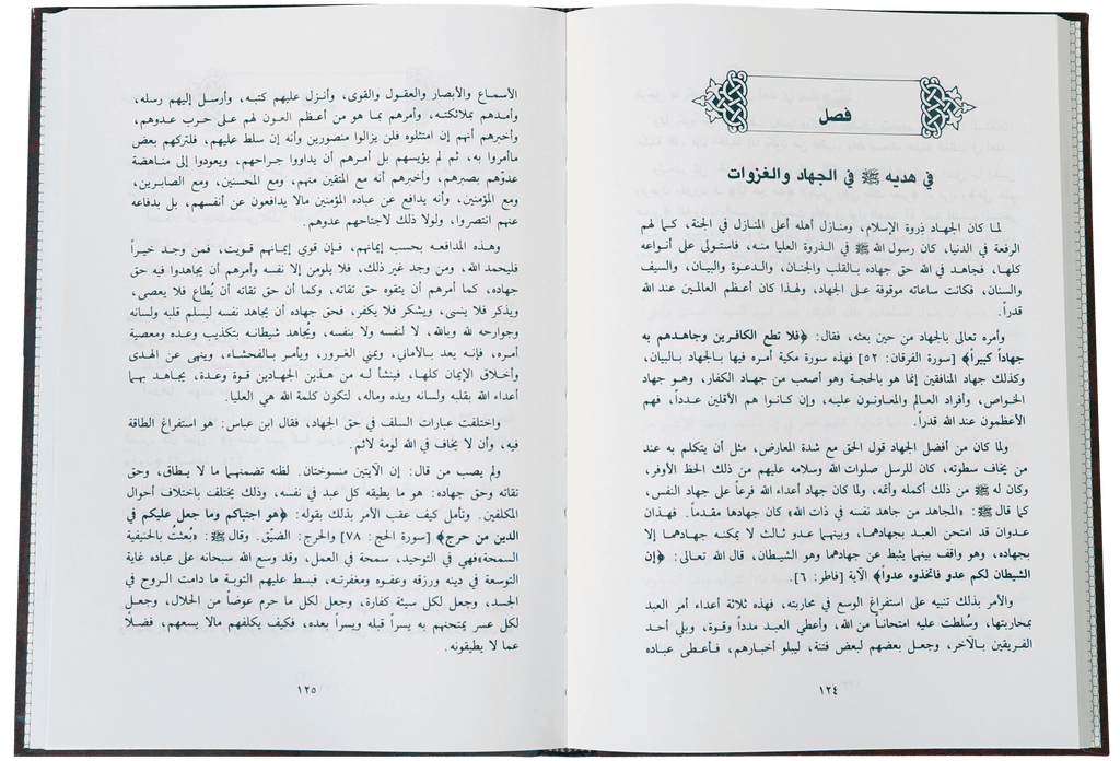 Mukhtasir Zaad`ul Ma`aad (Arabic)