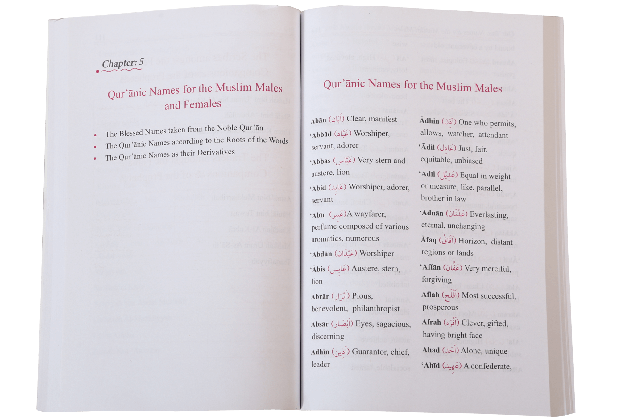 Dictionary of Islamic Names