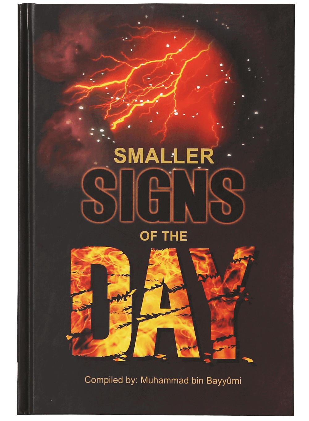 Smaller Signs of the Day Main image