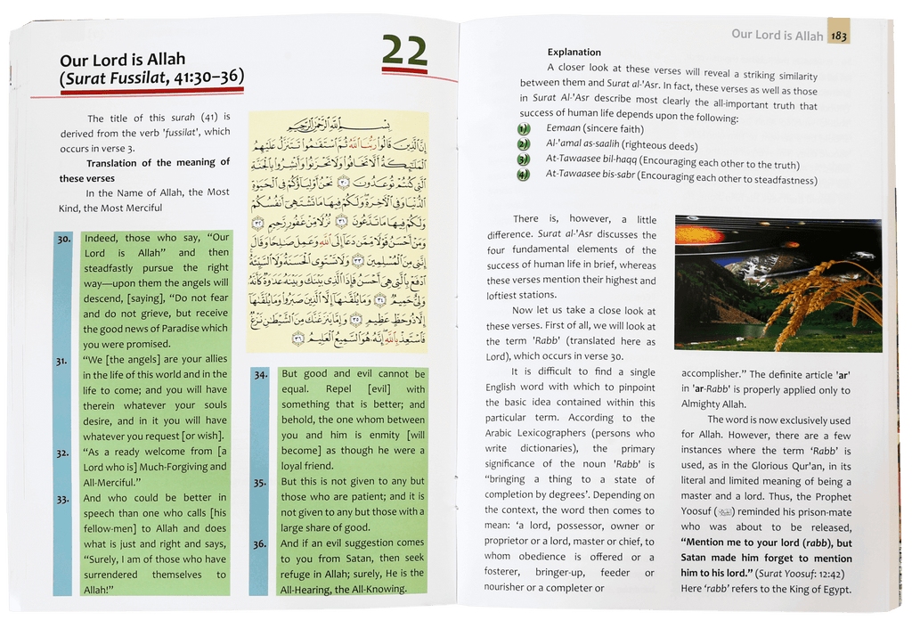 Islamic Studies Grade (vol 8)