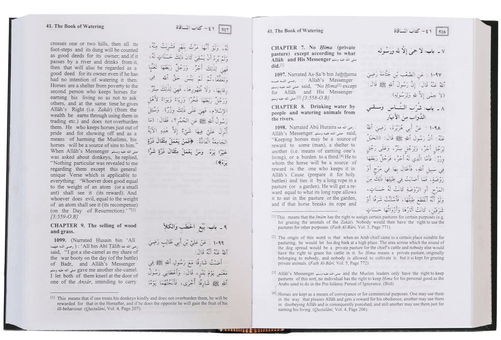 English Translation of the Meanings of Summarized Sahih Al- Bukhari