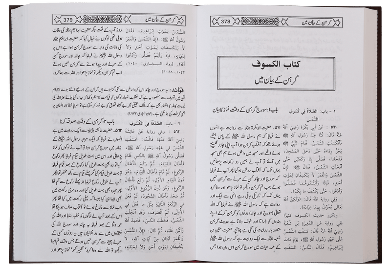 Mukhtasar Sahih Al-Bukhari (2 vols) - Imported
