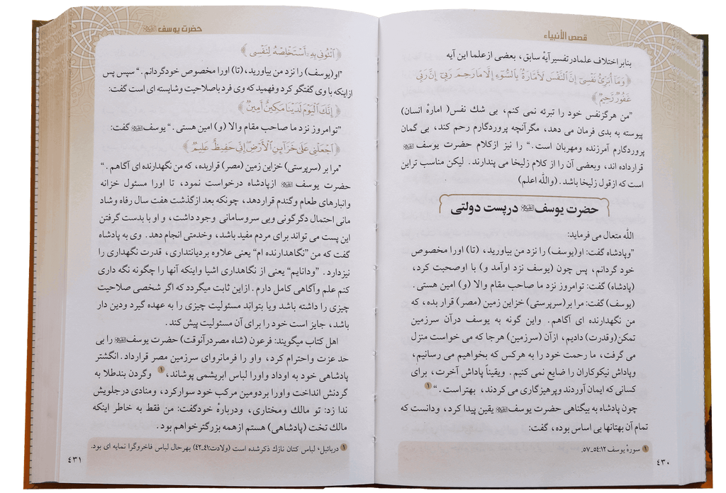 Qisasul Ambiya (farsi)