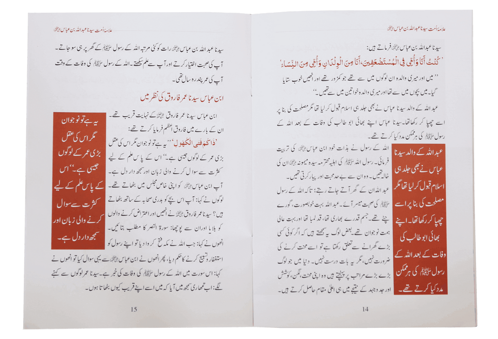 SYEDINA ABDULLAH BIN ABBAS (R.A)