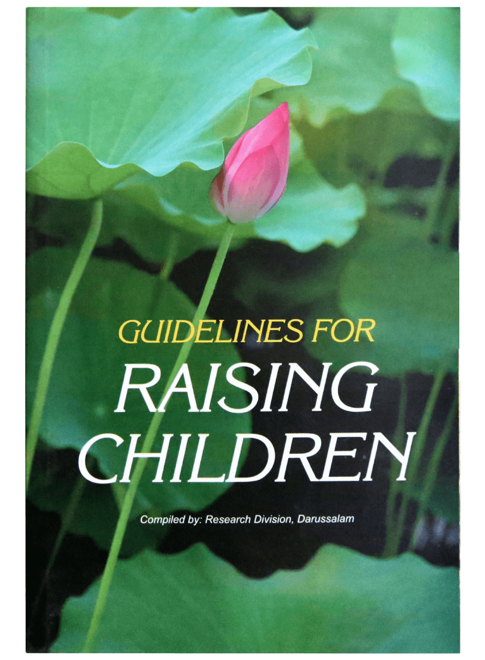 Guidelines for Raising Children Main image