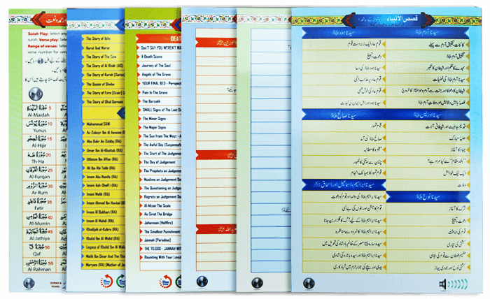 Pen Quran (DQ2Plus)