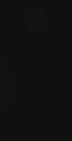 Hajj, Umrah & Visitors