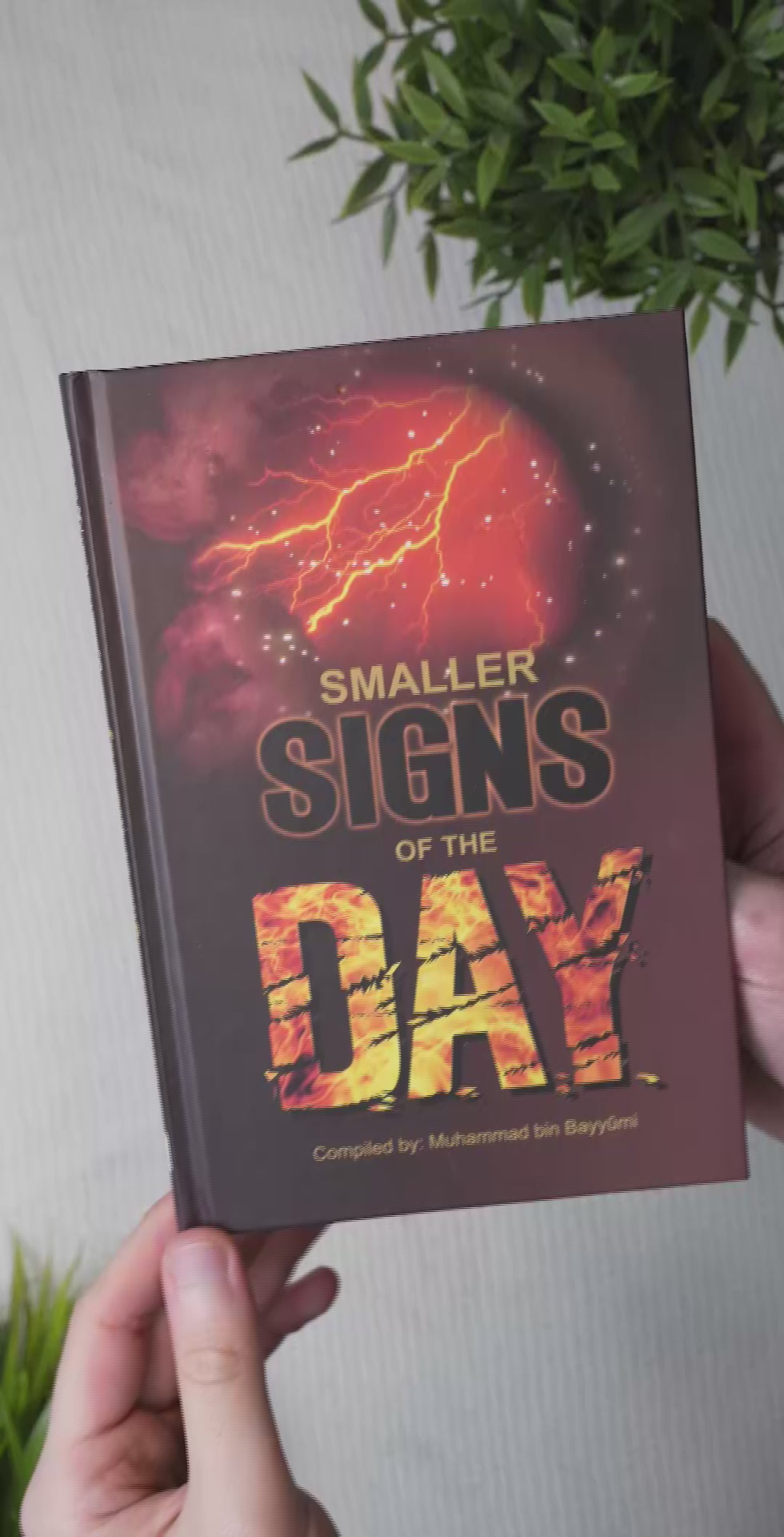 Smaller Signs of the Day