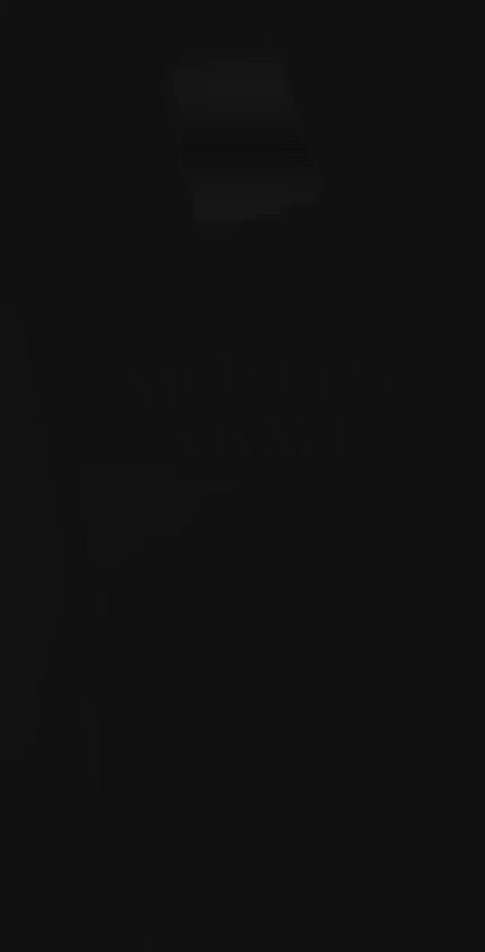 Commanders of the Muslim  army - Among the Companions of the Prophet (PBUH)