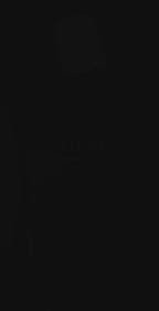 Commanders of the Muslim  army - Among the Companions of the Prophet (PBUH)