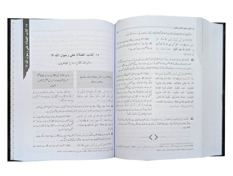 Mukhtaser Riyad us Saliheen - Urdu