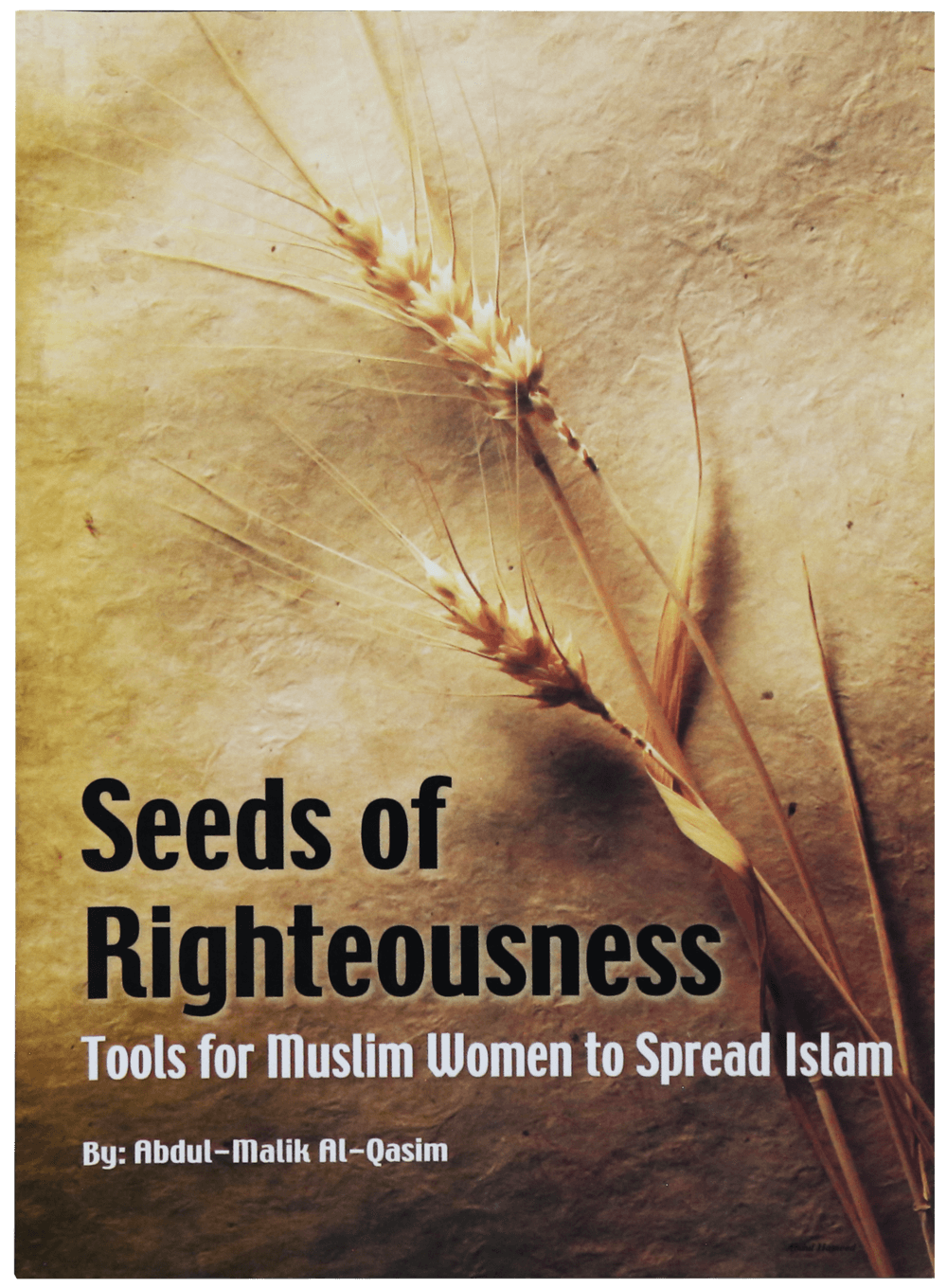 Seed of Righteousness Main image