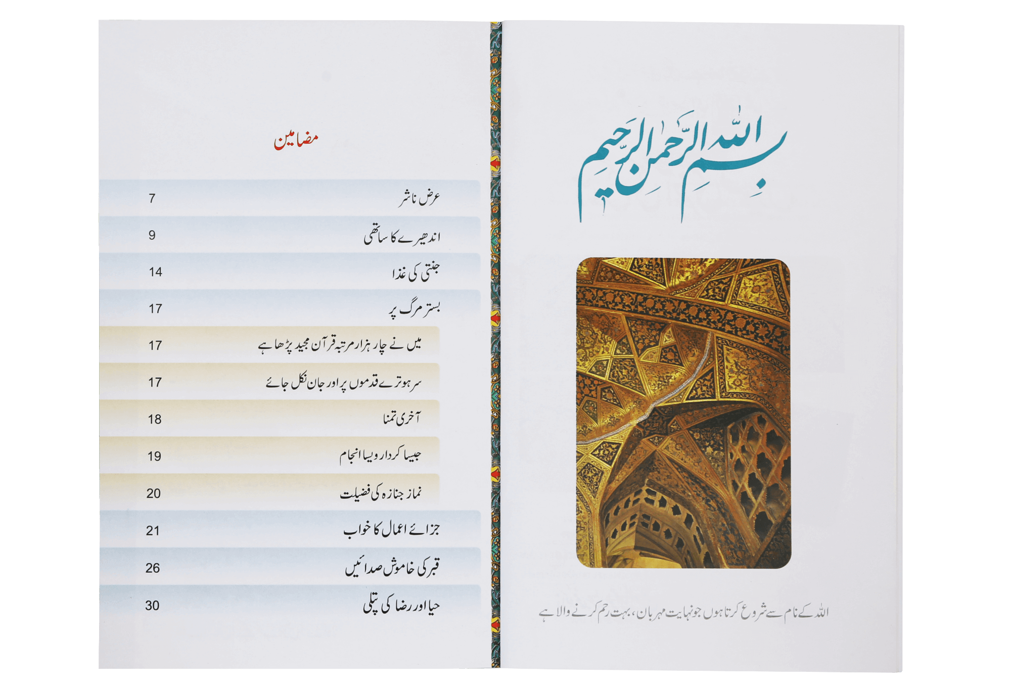 Zindagi Ki Akhri Taswerain-(Art Paper)